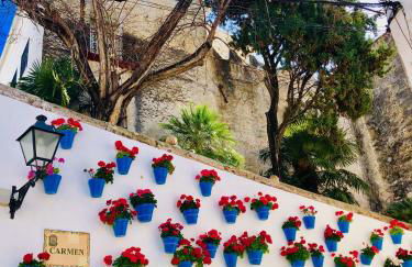 Duquesa Village (La Casa del Loonos) - Photo 63