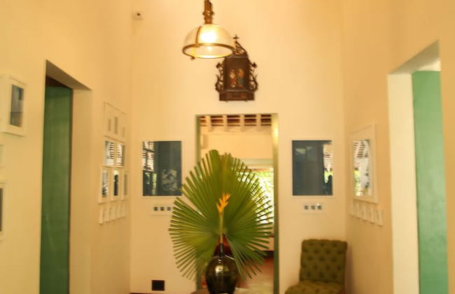 The Project Cafe Goa - Photo 2