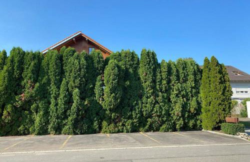 Luxury Rhine Retreat Garten&Sauna - Foto 20