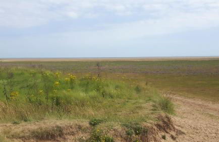 Coastal Annex at Saltfleet - Foto 32