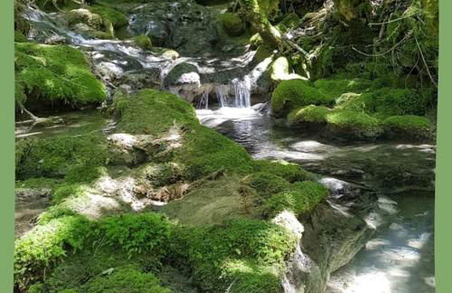 Maison au bord de la rivière Aveyron - Bruniquel - Foto 31