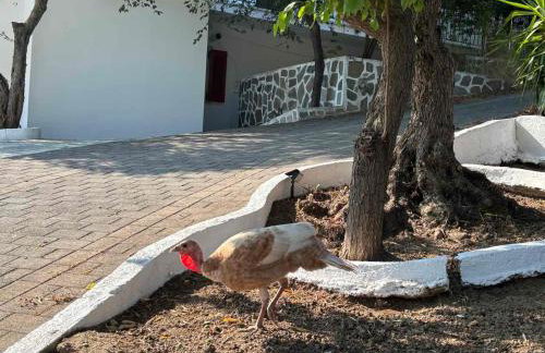 Lily's Guest House - Foto 18