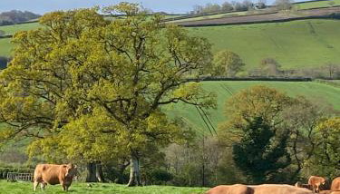 The Brick Barn, Drewsteignton - Foto 3