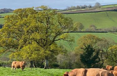 The Brick Barn, Drewsteignton - Foto 3
