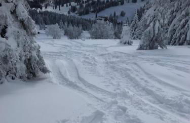 Bergkristall - Foto 7