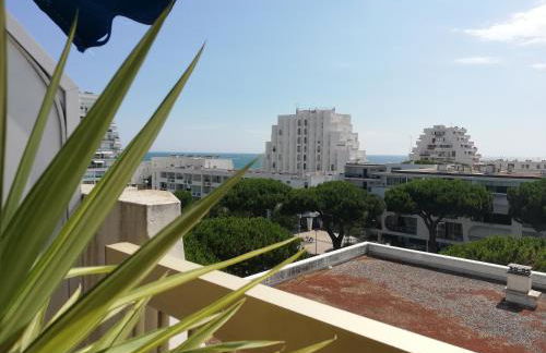 Le Sémaphore - appartement climatisé, grande terrasse vue mer - parking, wifi - Foto 13