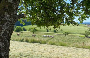 An der Walnuss - Foto 28