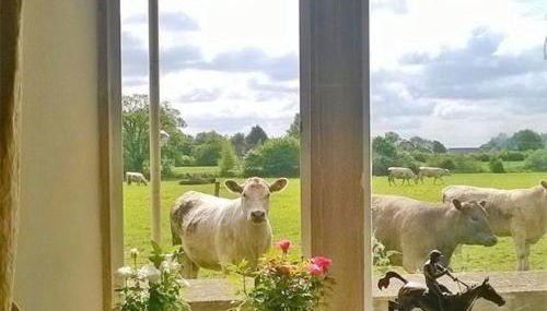 Battens Farm Cottages - B&B and Self-catering Accommodation - Foto 2