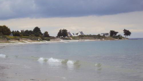 petit poisson - Foto 2