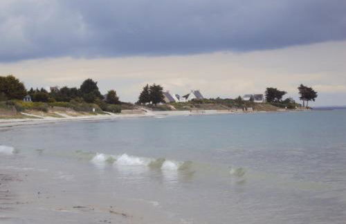 petit poisson - Foto 2