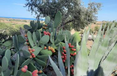 L'Ulivo Bianco - Foto 75