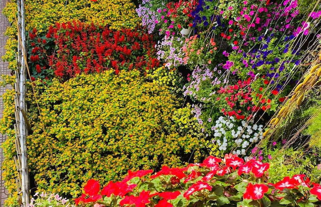 Khamy Riverside Resort - Photo 27