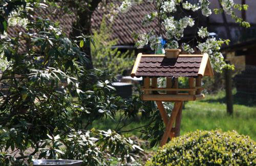 Ferienwohnung Rothirsch - Foto 42