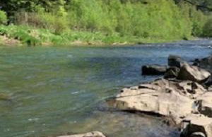 Domki pod Kiczerą w Baligrodzie, Bieszczady - Foto 33