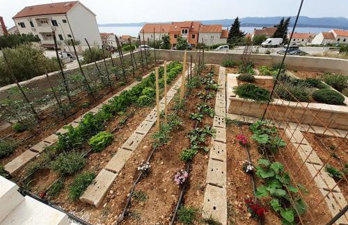 The Father's House - Photo 38