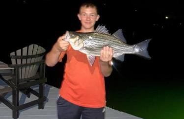 Paradise Key - Foto 43