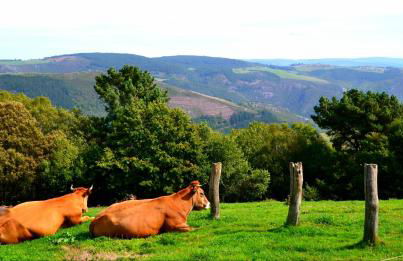 Apartamento La Corrada - Foto 38