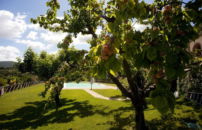 La Cianella - Photo 41