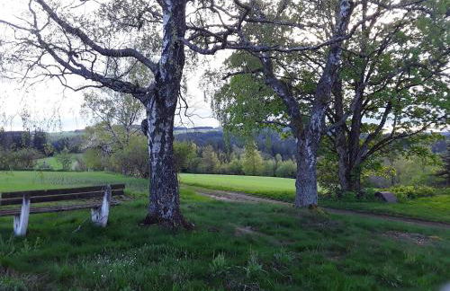 Apartment am Buchenhain - Foto 44