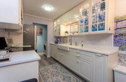 Texas Bluebonnet Farmhouse - Foto 10