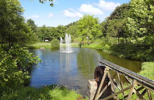 Apartment Brockenblick mit tollen Blick und Schwimmbad - Foto 16