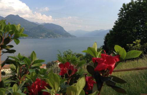 Casa Azalea - Foto 42