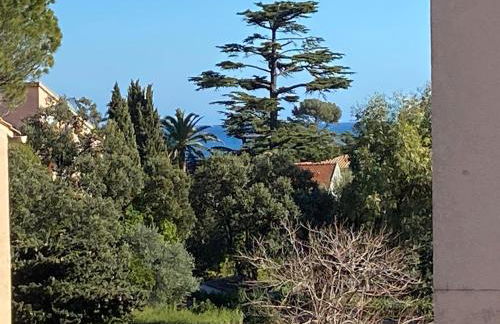 Saint Aygulf - a 250m de la mer- 3 pieces 45m2 - Foto 7