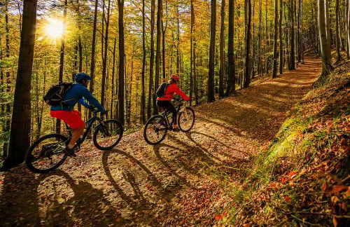 Weitblick Winterberg - Foto 28