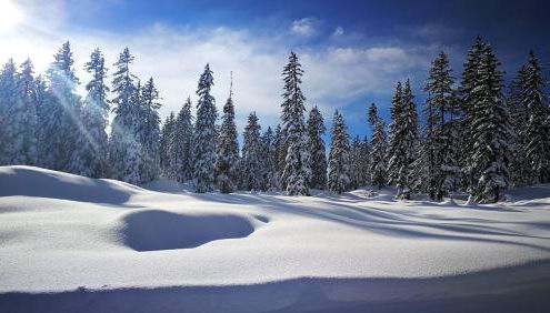 PLEINE PISTE LES SAISIES 5 Personnes - Foto 4