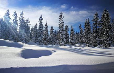 PLEINE PISTE LES SAISIES 5 Personnes - Foto 4