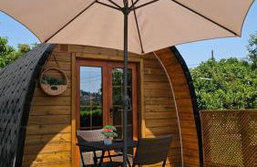 Quinta Lama de Cima - Foto 33