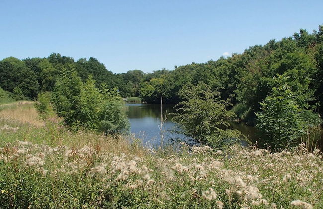 Boutique Apartment in Ritthem With Terrace - Photo 27