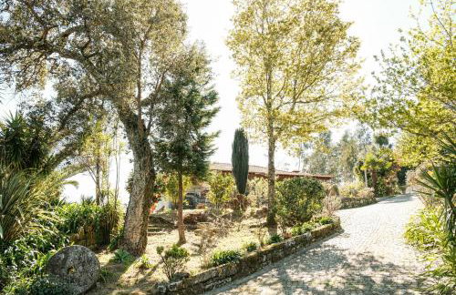 Casa dos Castros - Photo 28