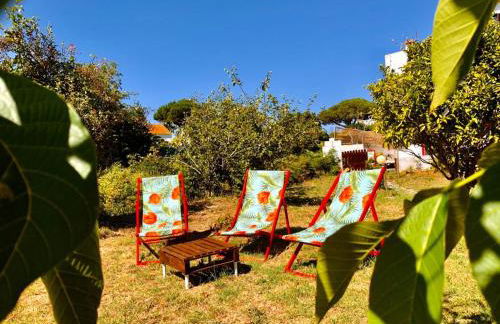 Quinta do Marinheiro - Meco - Foto 3