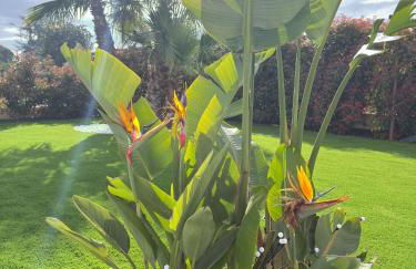 Villa Ikal - Foto 24