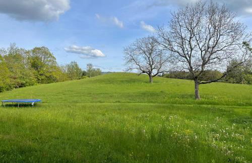 Alpenblick-Steineckhof - Foto 24