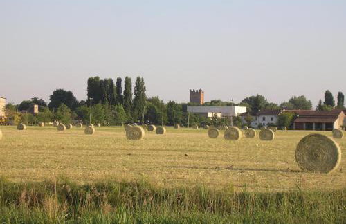 Agriturismo Boschi - Foto 50