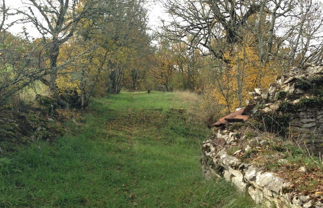 Le Domaine des Ramonets - Foto 26