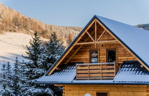 Domek w Górach - Foto 36