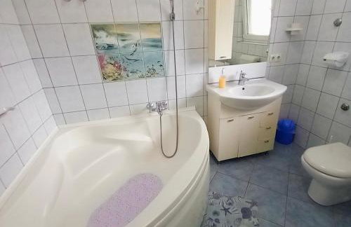 Appartaments Lion - Foto 13