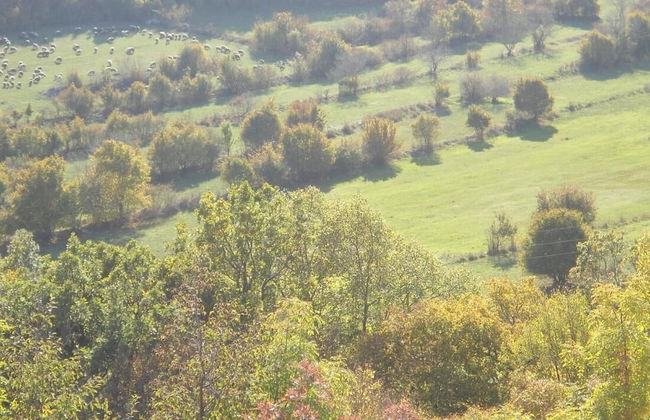 Vacation House Dunja - Foto 31