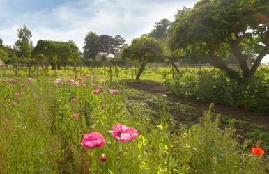 Leigh Park Country House Hotel & Vineyard, BW Signature Collection - Foto 28
