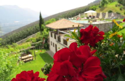 Appartements Kirchtalhof - Photo 17