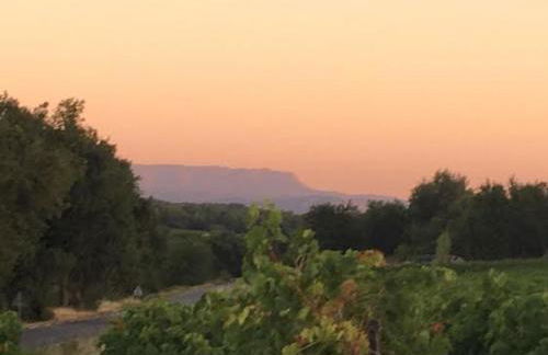 La Bastide des Vasses l'Atelier - Foto 31