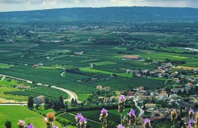 La Casa Di Bea - Foto 23