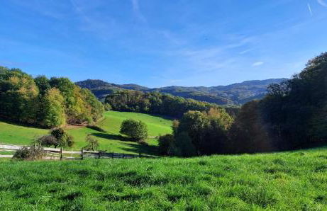 Gorxheimertal 92qm Allergikerfreundlich 2 Schlafzimmer 2 WC Terrasse - Foto 33