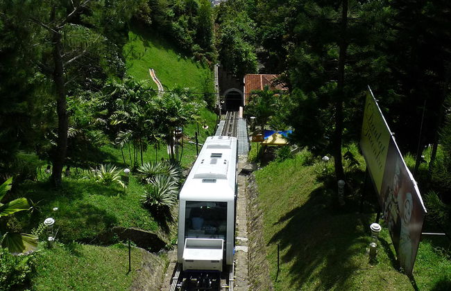 Hill and Temple Sightseeing - Half Day Tour - Foto 5