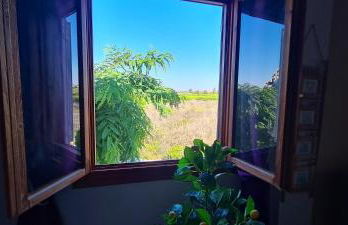 Appartement Guardamar Del Segura - Foto 8