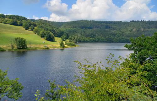 ZusammenZeit in Schleiden - inklusive Garage, großer Terrasse und 3 Schlafzimmer - ideal für Familien und Freunde - Hunde freundlich - Foto 46