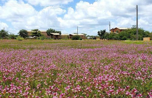 Chalé Serra dos Matões 08 - Pedro II - Foto 19